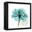 Teal Rose-Albert Koetsier-Framed Stretched Canvas