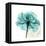 Teal Rose-Albert Koetsier-Framed Stretched Canvas