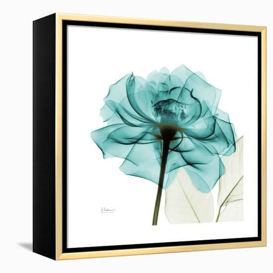 Teal Rose-Albert Koetsier-Framed Stretched Canvas