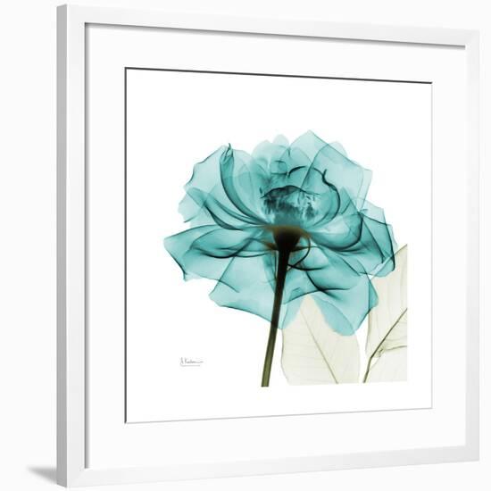 Teal Rose-Albert Koetsier-Framed Premium Giclee Print