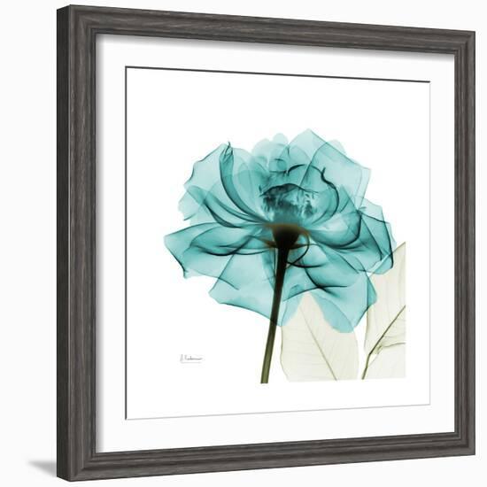 Teal Rose-Albert Koetsier-Framed Premium Giclee Print
