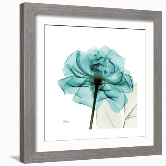 Teal Rose-Albert Koetsier-Framed Premium Giclee Print