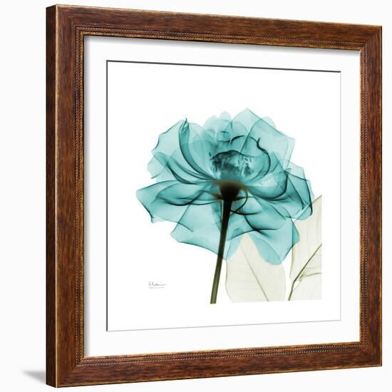 Teal Rose-Albert Koetsier-Framed Premium Giclee Print