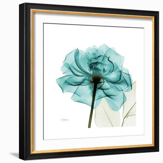 Teal Rose-Albert Koetsier-Framed Premium Giclee Print