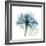 Teal Rose-Albert Koetsier-Framed Premium Photographic Print