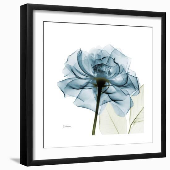 Teal Rose-Albert Koetsier-Framed Premium Photographic Print