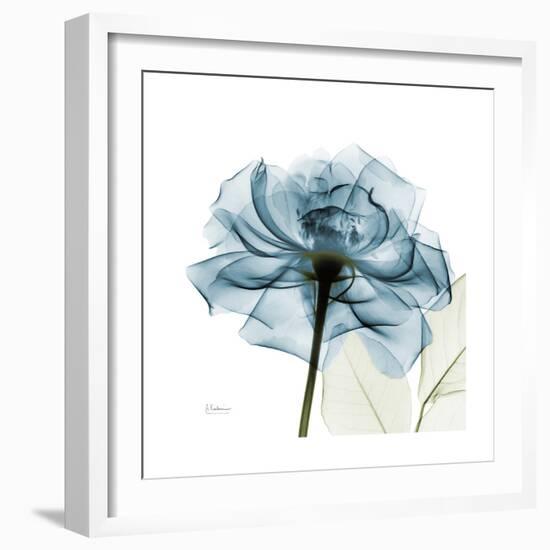 Teal Rose-Albert Koetsier-Framed Premium Photographic Print