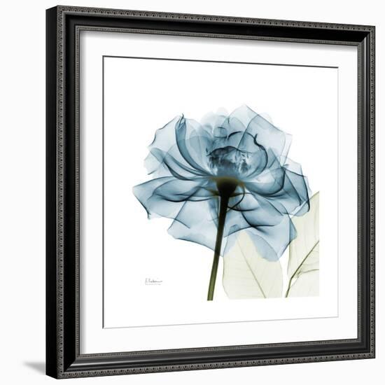 Teal Rose-Albert Koetsier-Framed Premium Photographic Print