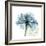 Teal Rose-Albert Koetsier-Framed Premium Photographic Print