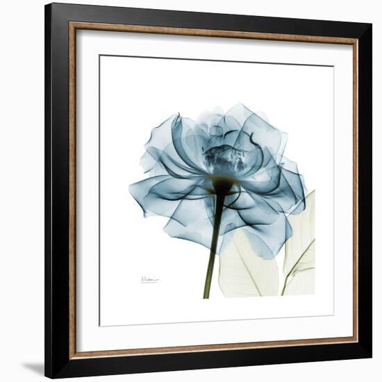 Teal Rose-Albert Koetsier-Framed Photographic Print