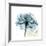 Teal Rose-Albert Koetsier-Framed Photographic Print