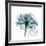 Teal Rose-Albert Koetsier-Framed Photographic Print