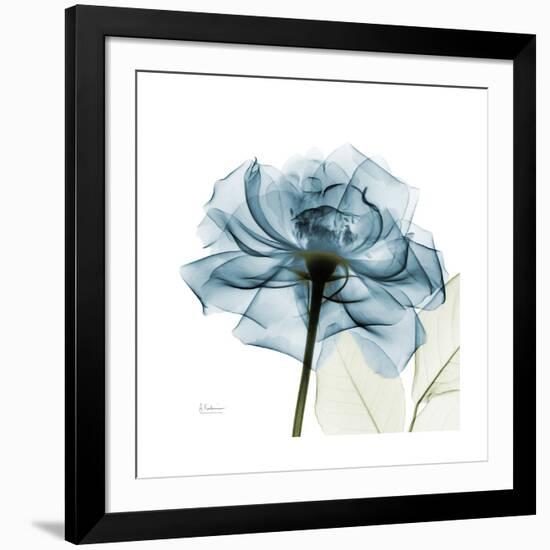 Teal Rose-Albert Koetsier-Framed Photographic Print