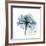 Teal Rose-Albert Koetsier-Framed Photographic Print