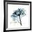 Teal Rose-Albert Koetsier-Framed Photographic Print