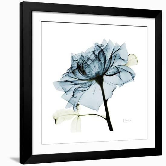 Teal Rose-Albert Koetsier-Framed Photographic Print