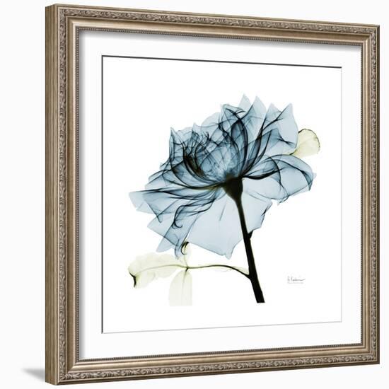 Teal Rose-Albert Koetsier-Framed Premium Photographic Print