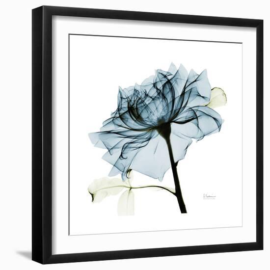 Teal Rose-Albert Koetsier-Framed Premium Photographic Print