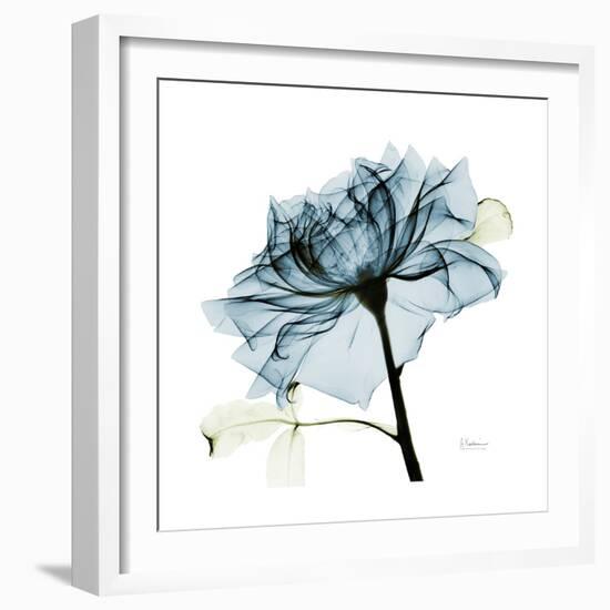 Teal Rose-Albert Koetsier-Framed Premium Photographic Print