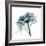 Teal Rose-Albert Koetsier-Framed Photographic Print