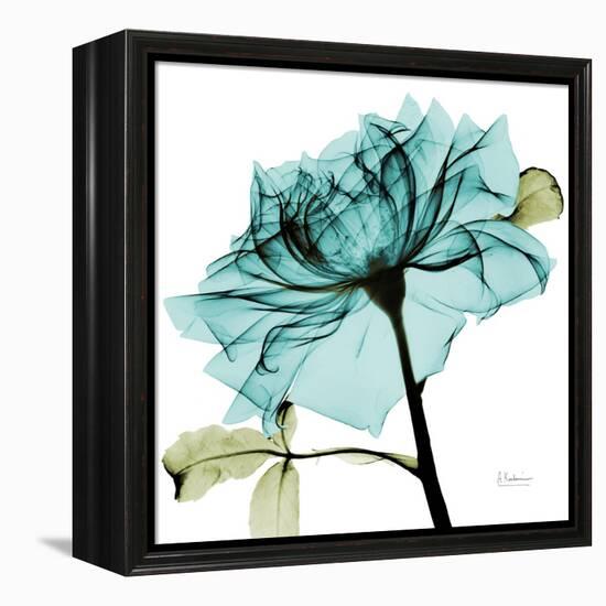 Teal Rose-Albert Koetsier-Framed Stretched Canvas