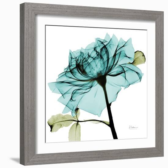 Teal Rose-Albert Koetsier-Framed Art Print