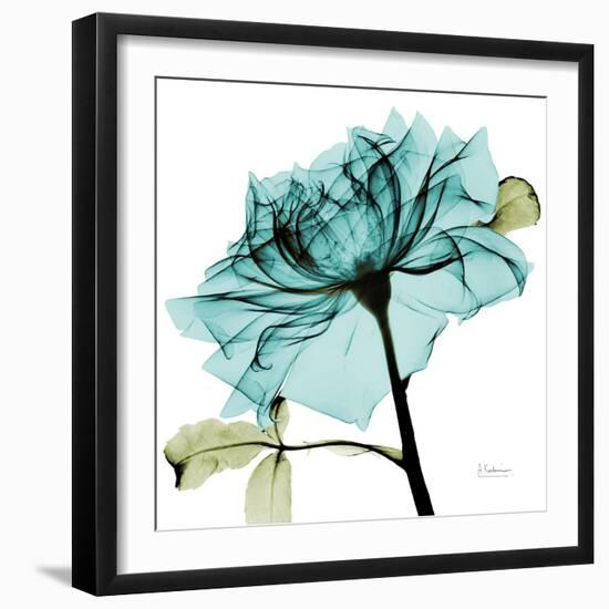 Teal Rose-Albert Koetsier-Framed Art Print