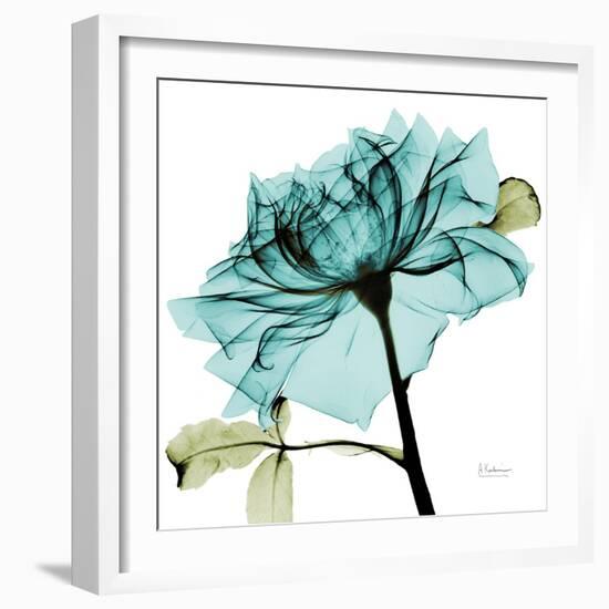 Teal Rose-Albert Koetsier-Framed Art Print