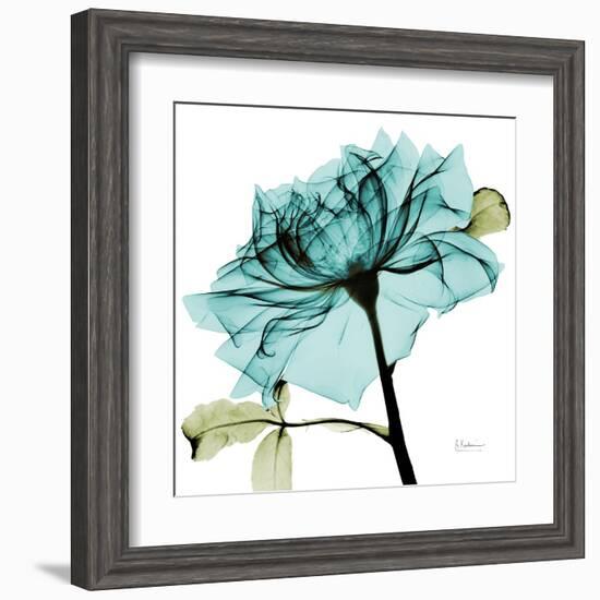 Teal Rose-Albert Koetsier-Framed Art Print