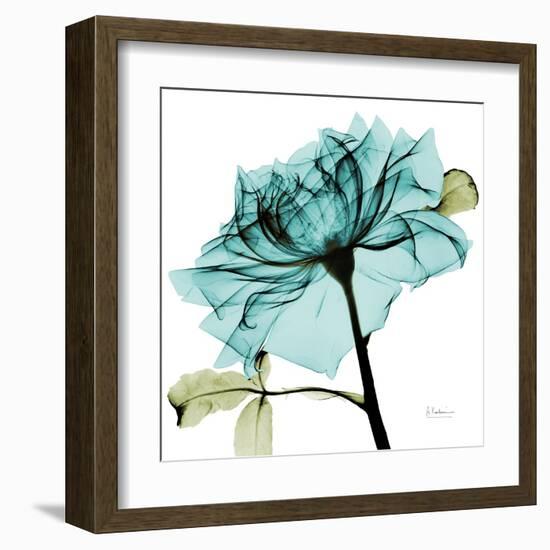 Teal Rose-Albert Koetsier-Framed Art Print