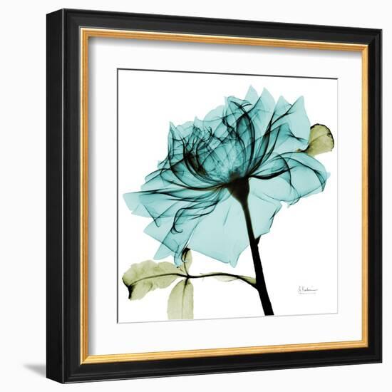 Teal Rose-Albert Koetsier-Framed Art Print