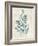 Teal Seaweed I-Grace Popp-Framed Art Print