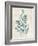 Teal Seaweed I-Grace Popp-Framed Art Print