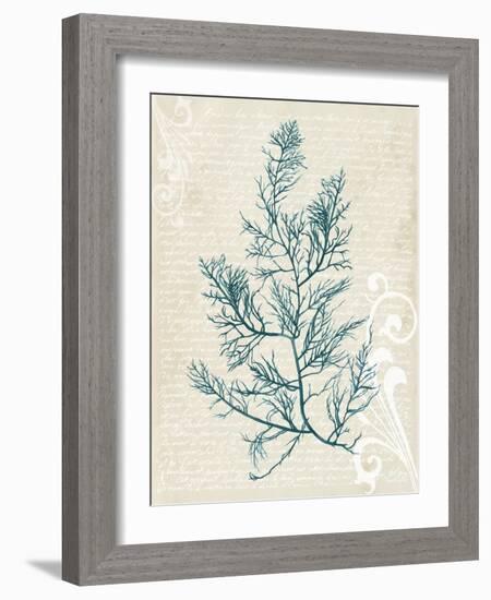 Teal Seaweed I-Grace Popp-Framed Art Print