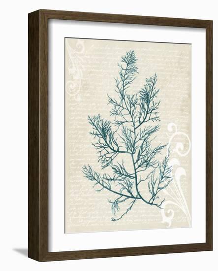 Teal Seaweed I-Grace Popp-Framed Art Print