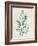 Teal Seaweed I-Grace Popp-Framed Art Print