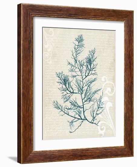 Teal Seaweed I-Grace Popp-Framed Art Print