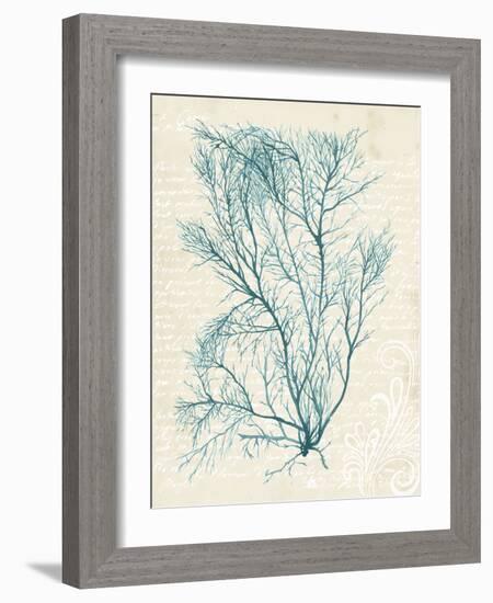 Teal Seaweed II-Grace Popp-Framed Art Print