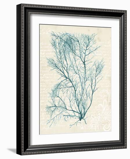 Teal Seaweed II-Grace Popp-Framed Art Print