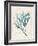 Teal Seaweed III-Grace Popp-Framed Art Print