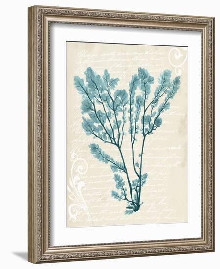 Teal Seaweed V-Grace Popp-Framed Art Print