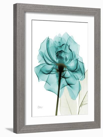 Teal Spirit Rose-Albert Koetsier-Framed Art Print