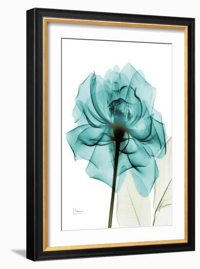 Teal Spirit Rose-Albert Koetsier-Framed Art Print