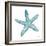 Teal Starfish-Patti Bishop-Framed Art Print