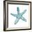 Teal Starfish-Patti Bishop-Framed Art Print