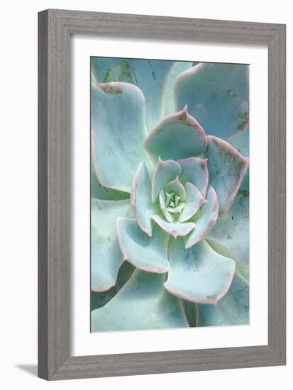 Teal Succulent Vertical-Susan Bryant-Framed Art Print