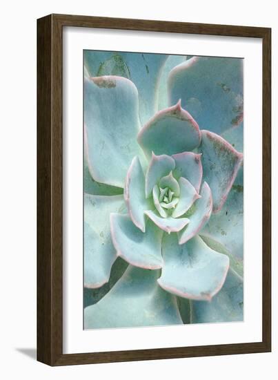 Teal Succulent Vertical-Susan Bryant-Framed Art Print