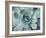 Teal Succulent-Susan Bryant-Framed Premium Giclee Print