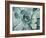 Teal Succulent-Susan Bryant-Framed Premium Giclee Print