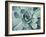 Teal Succulent-Susan Bryant-Framed Premium Giclee Print